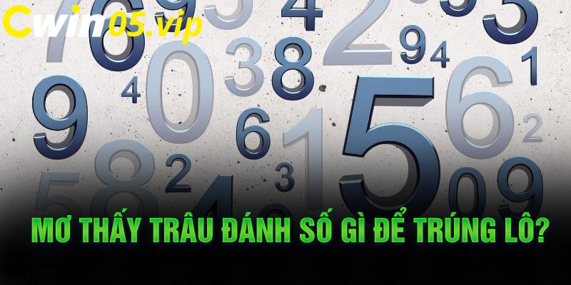  Mơ thấy trâu đánh số gì để trúng lô?